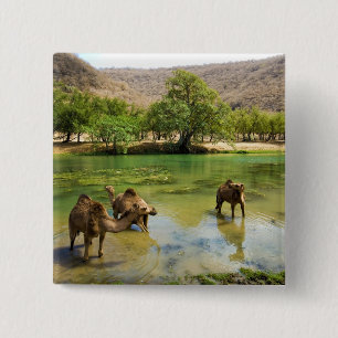 Oman, Wadi Darbat Button