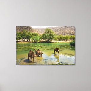 Oman, Wadi Darbat Leinwanddruck