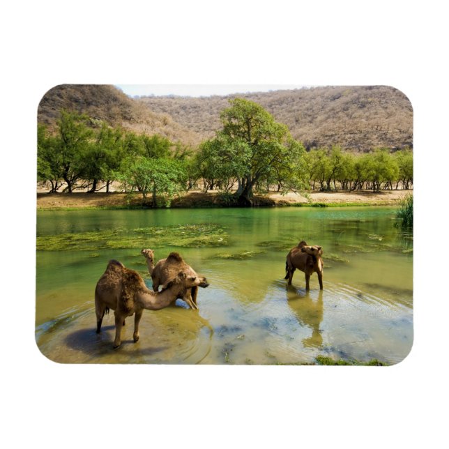 Oman, Wadi darbat Magnet (Horizontal)