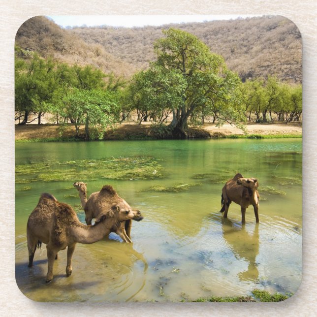 Oman, Wadi darbat Untersetzer (Vorderseite)
