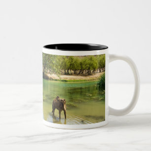 Oman, Wadi darbat Zweifarbige Tasse