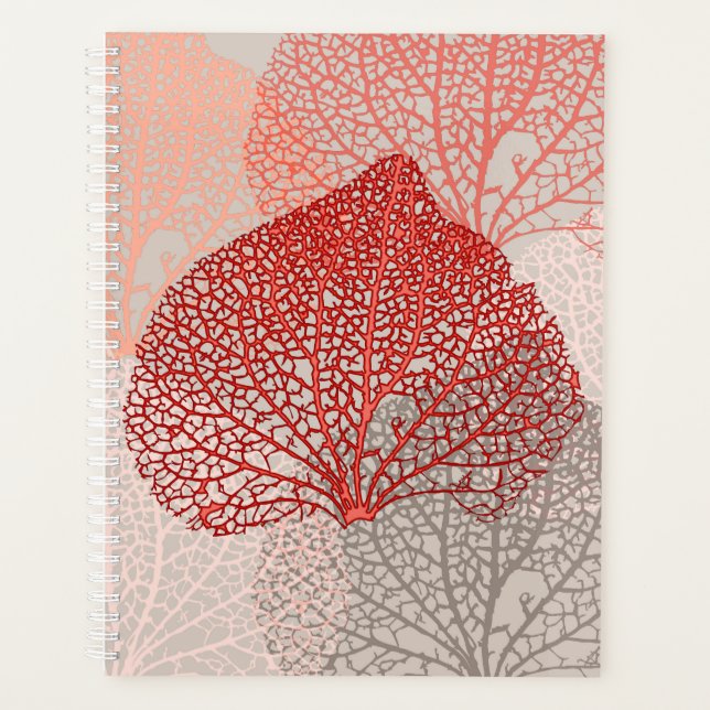 Ombre corail (Devant)