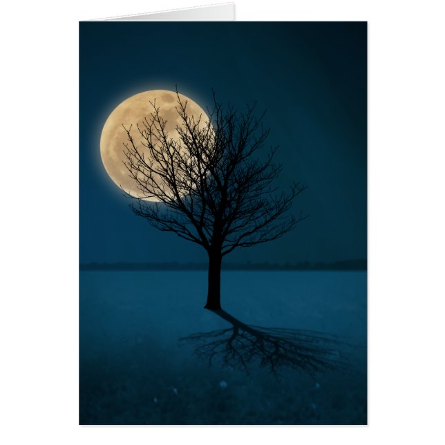 Ombre de la lune (Devant)