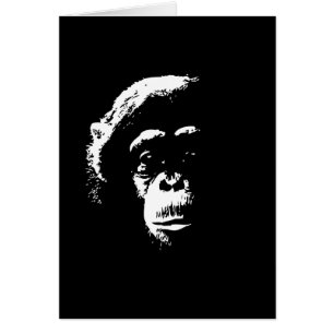 Ombres de chimpanzé