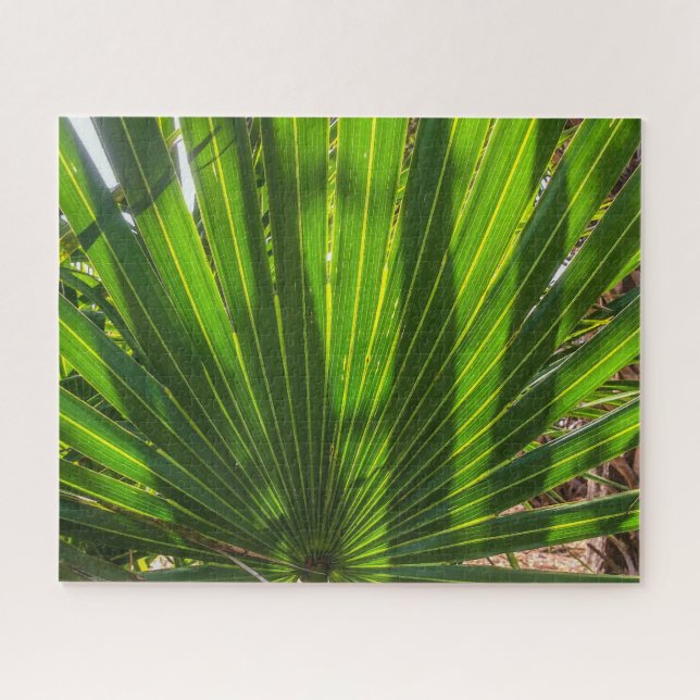 Ombres Palmetto sur le Puzzle Palmetto (Horizontal)