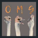 OMG Ostriches Poster<br><div class="desc">Dies ist ein Aquarellbild von Straußen mit sich verändernden Emotionen von der Ruhe zu einer Kernschmelze. Auf jedem Strauß sind Buchstaben,  die "OMG" in der Goldfolie der Imitate enthalten.</div>