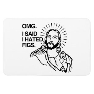 OMG, SAGTE ICH, DASS ICH FEIGEN HASSTE MAGNET