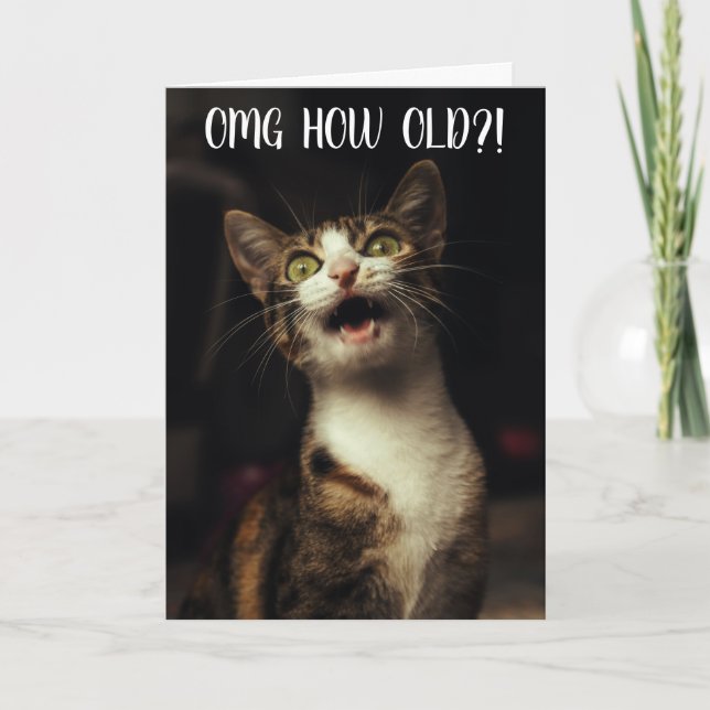 "OMG Wie alt?!" Funny Cat Birthday Card Karte (Vorderseite)