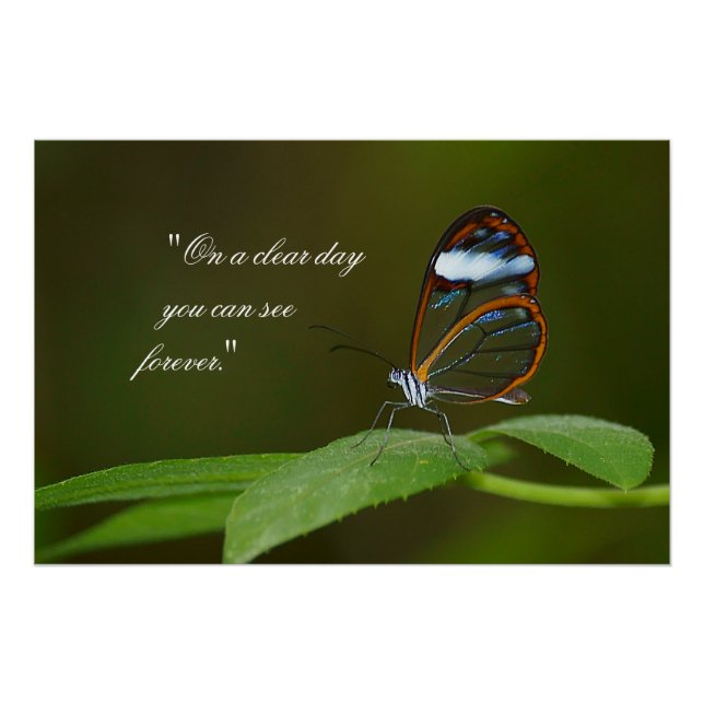 "On a Clear Day" Glasblutplakat Poster (Vorderseite)