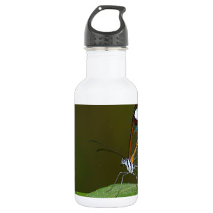 "On a Clear Day" Glaswing Butterfly Design Edelstahlflasche