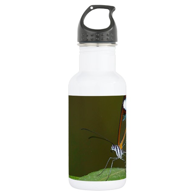 "On a Clear Day" Glaswing Butterfly Design Edelstahlflasche (Vorderseite)