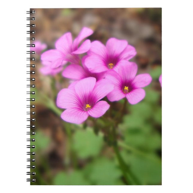 On My Doorstep Notebook Notizblock (Vorderseite)
