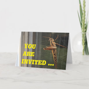 On vous invite à sortir, carte