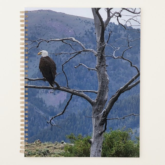 On Watch Planner Planer (Vorderseite)