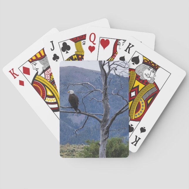 On Watch Playing Cards Spielkarten (Rückseite)