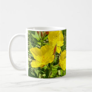 Onagre du soir, mug papillon machaon ©️dh26
