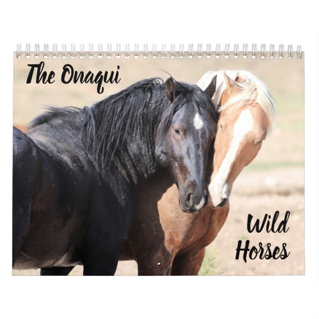 Onaqui - Kalender der Wilden Pferde (Titelbild)