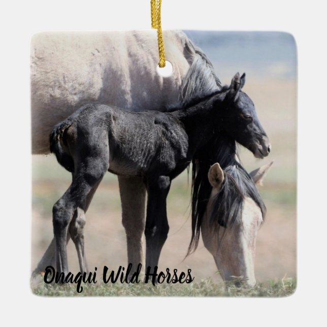 Onaqui Wild Horses Ornament (Vorderseite)