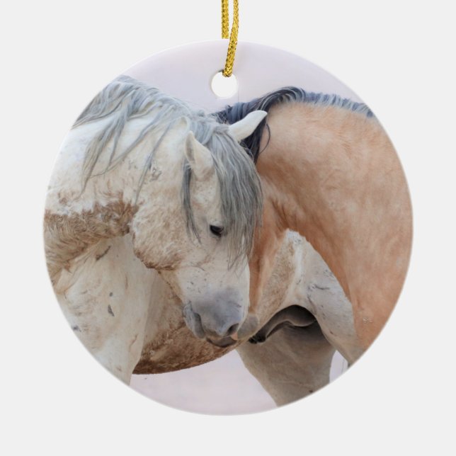 Onaqui Wild Horses Ornament (Vorne)