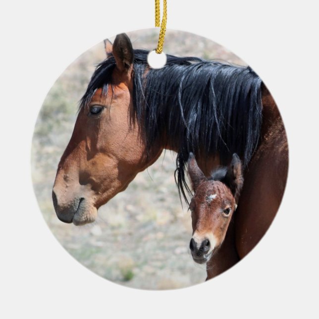 Onaqui Wild Horses Ornament (Vorne)