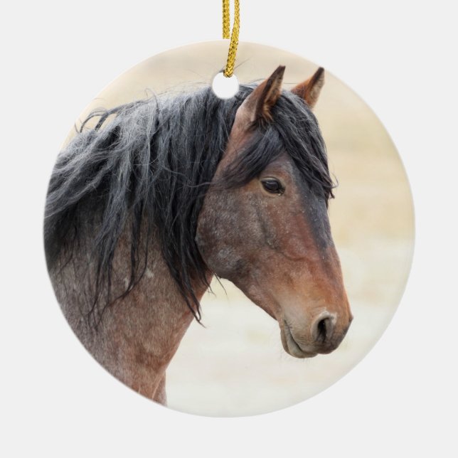 Onaqui Wild Horses Ornament (Vorne)