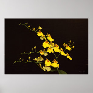 Onc Yellow Orchid Art Poster -60x40 - oder kleiner