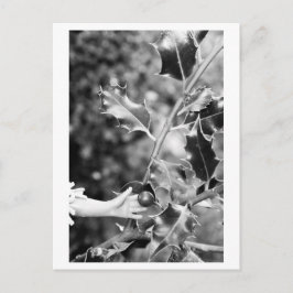 Once upon a time in the woods postkarte