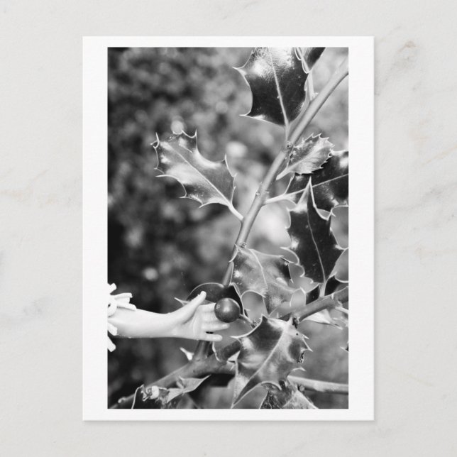 Once upon a time in the woods postkarte (Vorderseite)