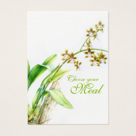 Oncidium Leucochilum orchid Blume grün