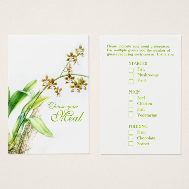 Oncidium Leucochilum orchidée vert (Devant & derrière)