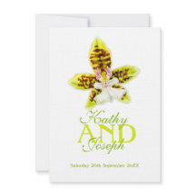 Oncidium Leucochilum Orchideen Blume laden ein