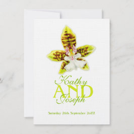 Oncidium Leucochilum Orchideen Blume laden ein Einladung