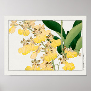 Oncidium von Tanigami Konan Poster