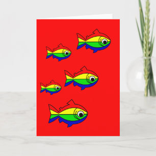 Oncor Hynchus Mykiss - Raibow Trout Karte