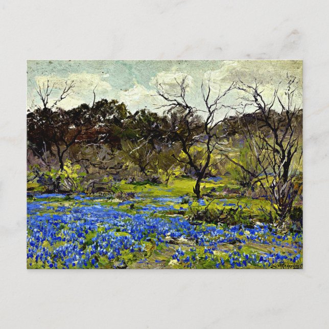 Onderdonk - Frühjahr, Bluebonnets und Mesziemlich Postkarte (Vorderseite)