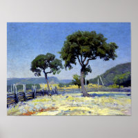 Onderdonk - Live Oak Trees