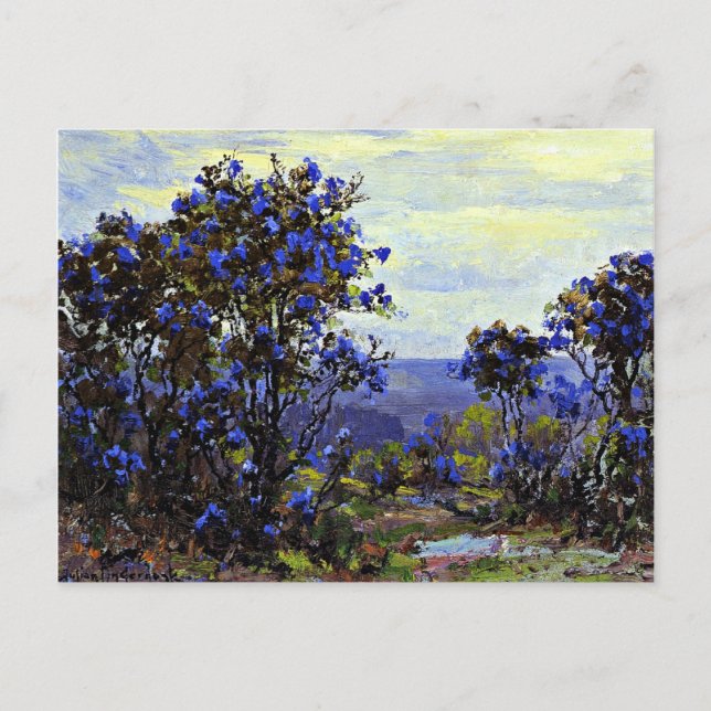 Onderdonk - Mountain Laurel in Bloom Card Postkarte (Vorderseite)