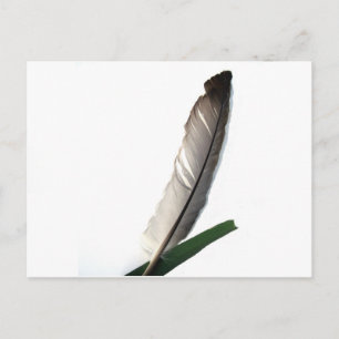 One Feather Postkarte