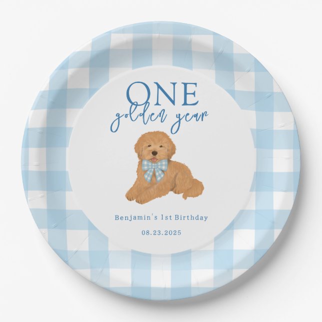 One Golden Year Golden Doodle Boys Birthday Pappteller (Vorderseite)
