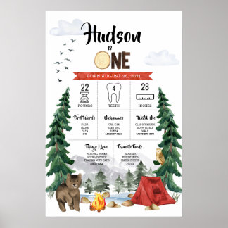 One Happy Camper 1. Geburtstag Meilenstein Chart Poster