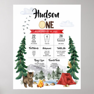 One Happy Camper 1. Geburtstag Meilenstein Chart Poster