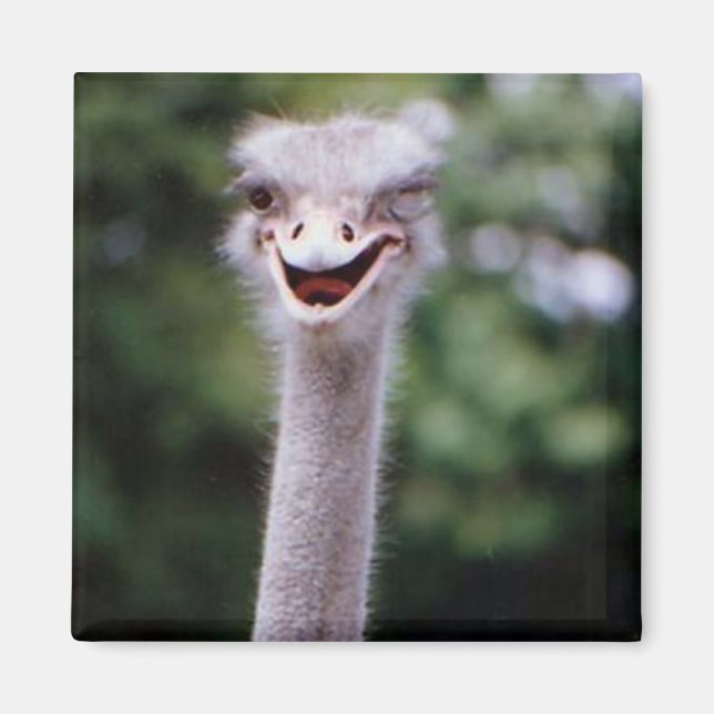 One Happy Ostrich Kühlschrank Magnet (Vorne)