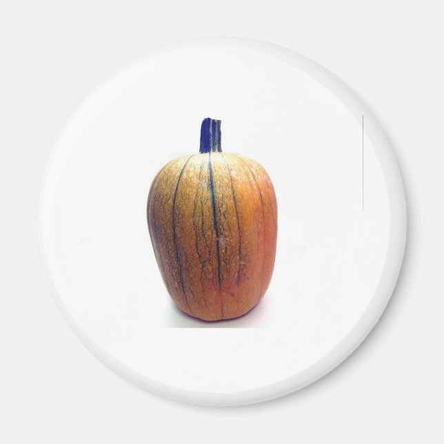 One Orange Pumpkin Magnet (Vorne)
