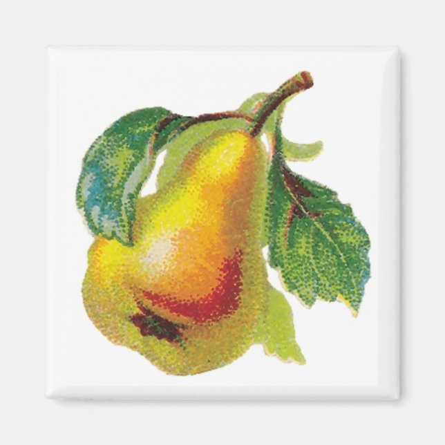 One Pear Magnet (Vorne)