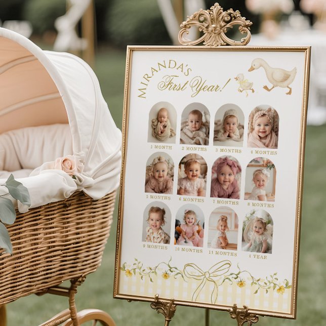 One Silly Goose 1st Birthday Photo Milestone Poster (Von Creator hochgeladen)