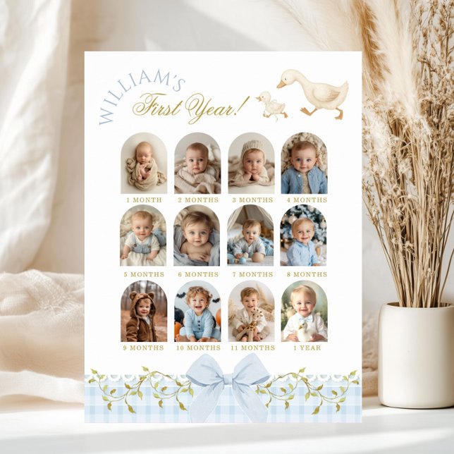 One Silly Goose Boy 1st Birthday Photo Milestone Poster (Von Creator hochgeladen)