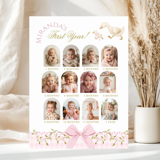 One Silly Goose Girl 1st Birthday Photo Milestone Poster (Von Creator hochgeladen)