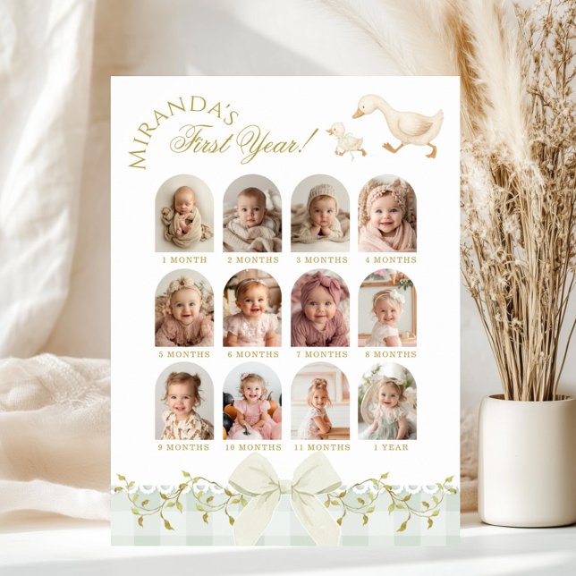 One Silly Goose Sage 1st Birthday Photo Milestone Poster (Von Creator hochgeladen)