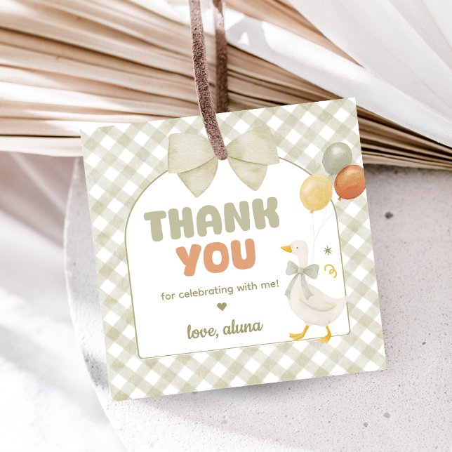 One Silly Goose Spring Birthday Geschenkanhänger (One Silly Goose Birthday Party Favor Tags)