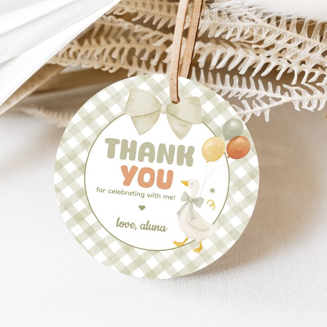 One Silly Goose Spring Birthday Geschenkanhänger (One Silly Goose Birthday Party Favor Tags)